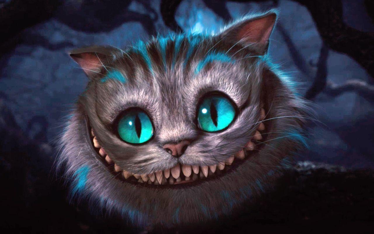 Cheshire Cat Video